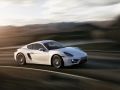 Porsche Cayman - Tekniska data, Bränsleförbrukning, Mått