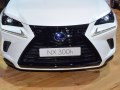 2018 Lexus NX I (AZ10, facelift 2017) - Photo 10