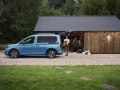 Ford Tourneo Connect III - Fotografie 3