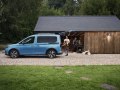 Ford Tourneo Connect III - Bild 3