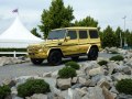 2008 Mercedes-Benz Clasa G Long (W463, facelift 2008) - Fotografie 3