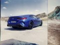 2022 BMW 8 Series Coupe (G15 LCI, facelift 2022) - Photo 8