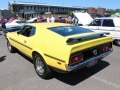 Ford Mustang I SportsRoof (facelift 1970) - Photo 9