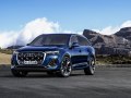 2025 Audi Q7 (Typ 4M, facelift 2024) - Фото 5