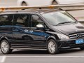 2010 Mercedes-Benz Viano (W639, facelift 2010) - Photo 4