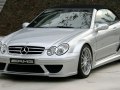 2005 Mercedes-Benz CLK (A209, facelift 2005) - Fotografie 31