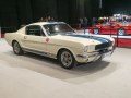 Ford Shelby I - Bilde 2