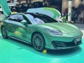 2026 Fangchengbao Formula S - Photo 5