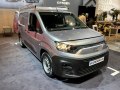 Fiat Doblo III (K9) - Фото 3