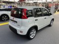2021 Fiat Panda III (319, facelift 2020) - Photo 3