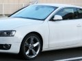 Audi A5 Coupe (8T3) - Kuva 6