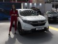 Honda CR-V V (facelift 2019) - Снимка 9