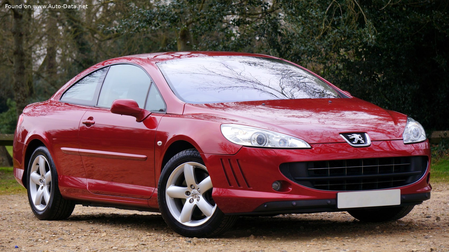 2005 Peugeot 407 Coupe 2.7 V6 24V Hdi (205 Km) | Dane Techniczne, Zużycie Paliwa , Wymiary