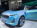 2019 WEY X Concept - Foto 6