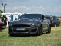 2018 Ford Mustang VI (facelift 2017) - Фото 98