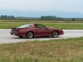 1982 Pontiac Firebird III - Фото 4