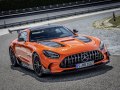 Mercedes-Benz AMG GT (C190, facelift 2017) - Fotoğraf 10