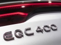 2019 Mercedes-Benz EQC (N293) - Photo 2