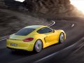 2013 Porsche Cayman (981c) - Фото 6