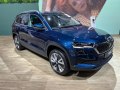 2022 Skoda Karoq (facelift 2021) - Photo 59