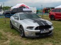 2010 Ford Shelby II (facelift 2010) - Foto 3