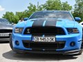 2010 Ford Shelby II (facelift 2010) - Foto 5
