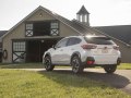 Subaru Crosstrek II (facelift 2021) - Fotoğraf 4