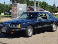 1983 Ford Thunderbird (Aero Birds) - Foto 3