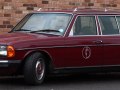 Mercedes-Benz S123 - Bilde 8