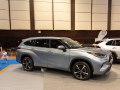 2020 Toyota Highlander IV - Fotografie 74