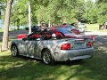 Ford Mustang Convertible IV - Photo 3