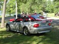 Ford Mustang Convertible IV - Fotoğraf 3