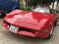 1978 Chevrolet Corvette Coupe (C3, facelift 1978) - Scheda Tecnica, Consumi, Dimensioni