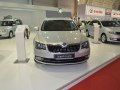 2013 Skoda Superb II Combi (facelift 2013) - Foto 3