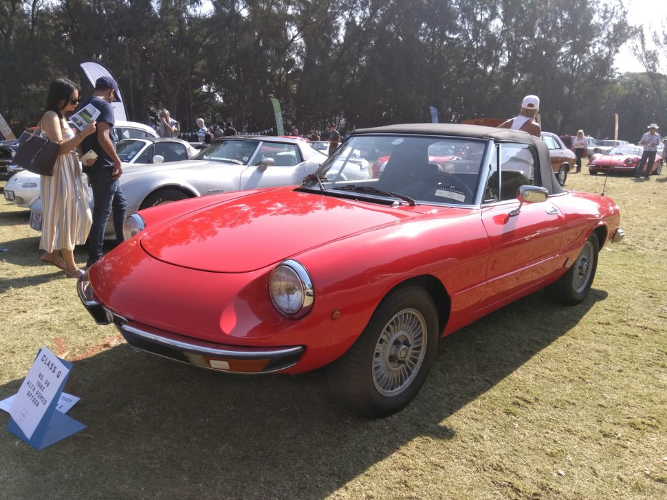 Alfa Romeo Spider classic