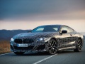 2018 BMW Serie 8 (G15) - Foto 9