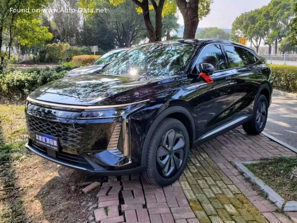 2023 Exeed Yaoguang - Bild 1