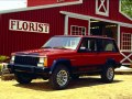 1984 Jeep Cherokee II (XJ) 3-door - Fotoğraf 8