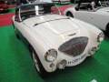 1953 Austin-Healey 100/4 (BN1) - Fotoğraf 6