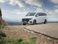 2024 Mercedes-Benz V-class Long (V447, facelift 2024) - Photo 81