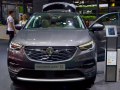 2017 Vauxhall Grandland X - εικόνα 3