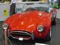 AC Cobra - Tekniske data, Forbruk, Dimensjoner