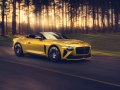 Bentley Bacalar - Specificatii tehnice, Consumul de combustibil, Dimensiuni