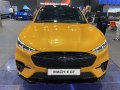 2021 Ford Mustang Mach-E - Fotoğraf 64