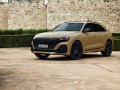 2023 Audi Q8 (facelift 2023) - Photo 22