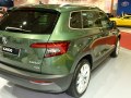 2017 Skoda Karoq - Kuva 43