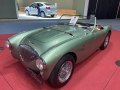 1953 Austin-Healey 100/4 (BN1) - Fotoğraf 3