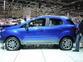 2013 Ford EcoSport II - Снимка 6