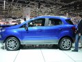 2013 Ford EcoSport II - Фото 6