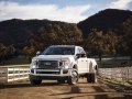 Ford F-450 Super Duty IV (facelift 2020) Crew Cab Long box - Fotoğraf 7